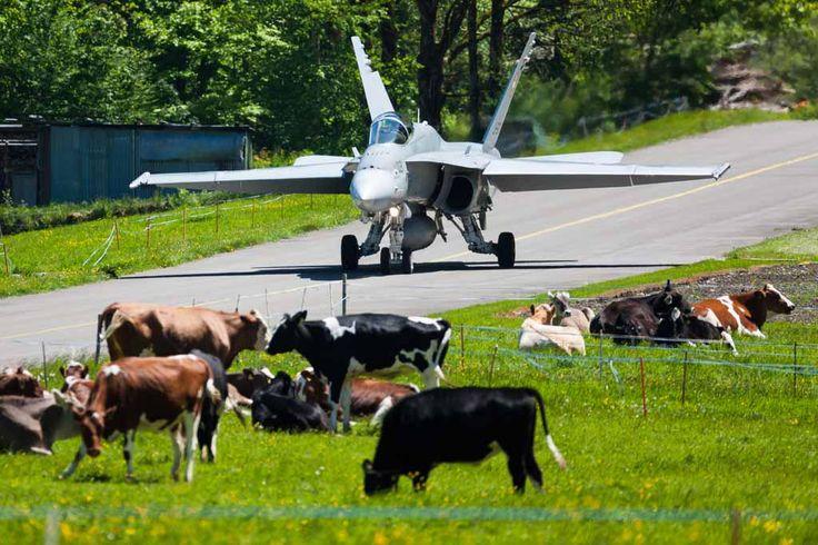 Swiss Minta Bantuan AS Selidiki Jatuhnya F-18 Dua Tahun Lalu