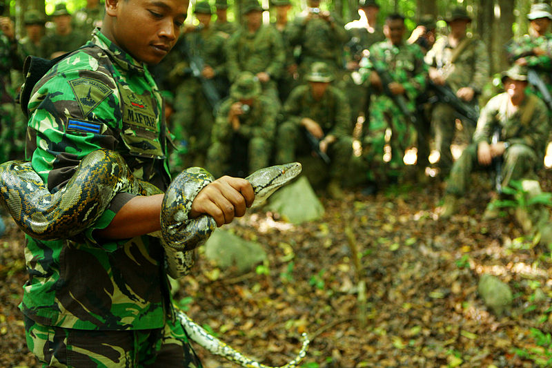 Latihan Jungle Survival Marinir dan USMC