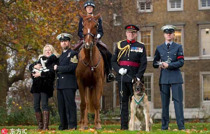 Binatang-Binatang Jagoan Inggris Gelar Parade Militer
