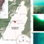 Eksplorasi Maritim: Peneliti Temukan Kedalaman Taam Ja’ di Meksiko Lampaui 423 Meter Tanpa Dasar